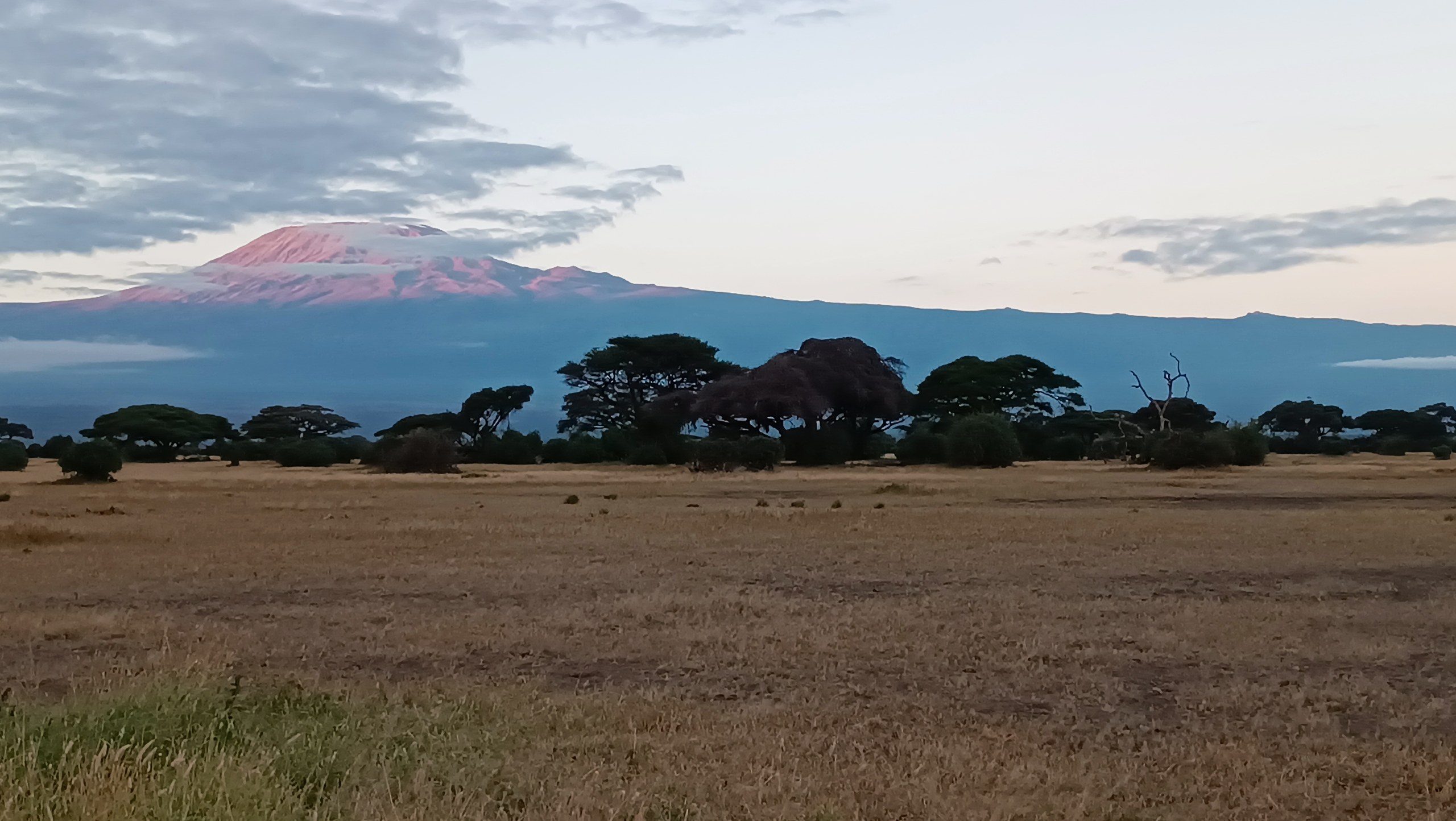 Amboseli-Galerie 5